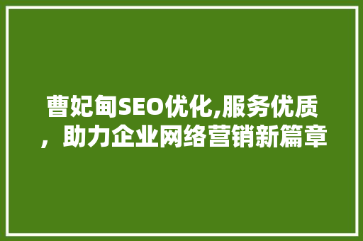 曹妃甸SEO优化,服务优质，助力企业网络营销新篇章