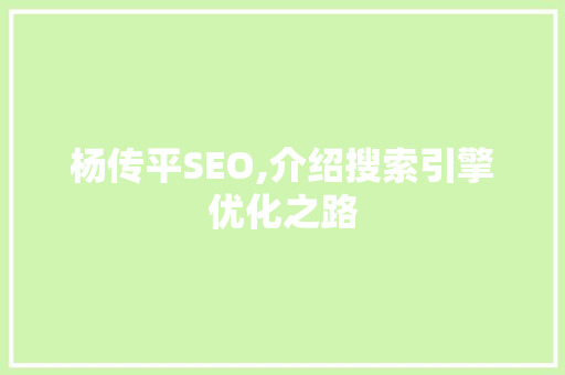 杨传平SEO,介绍搜索引擎优化之路  第1张