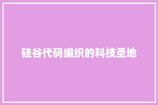 硅谷代码编织的科技圣地