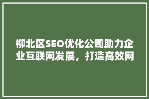 柳北区SEO优化公司助力企业互联网发展，打造高效网络营销步骤