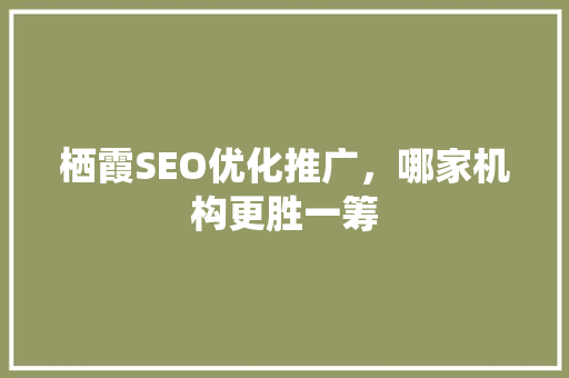 栖霞SEO优化推广，哪家机构更胜一筹