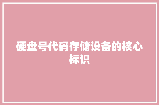 硬盘号代码存储设备的核心标识