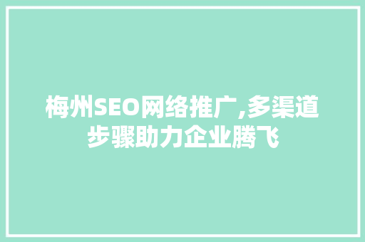梅州SEO网络推广,多渠道步骤助力企业腾飞