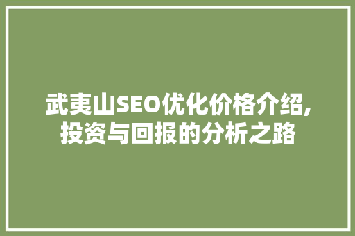 武夷山SEO优化价格介绍,投资与回报的分析之路