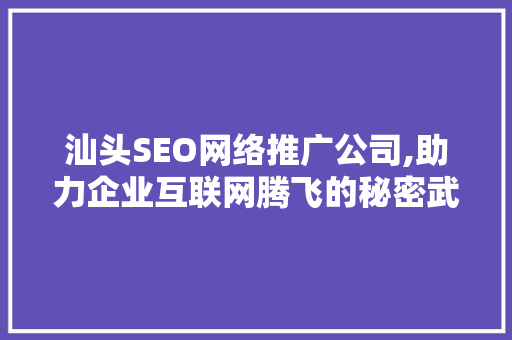汕头SEO网络推广公司,助力企业互联网腾飞的秘密武器