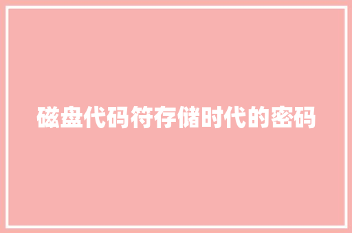 磁盘代码符存储时代的密码