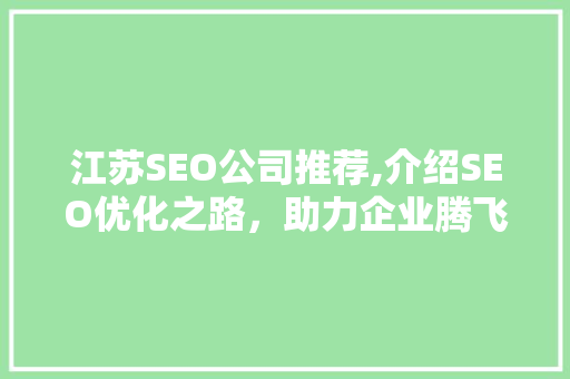 江苏SEO公司推荐,介绍SEO优化之路，助力企业腾飞
