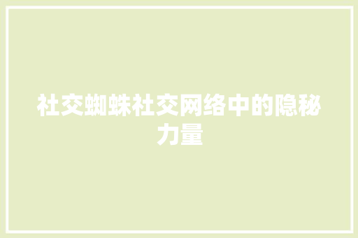 社交蜘蛛社交网络中的隐秘力量