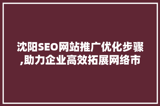 沈阳SEO网站推广优化步骤,助力企业高效拓展网络市场