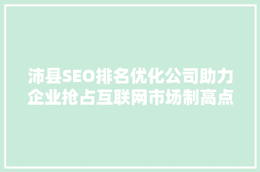 沛县SEO排名优化公司助力企业抢占互联网市场制高点