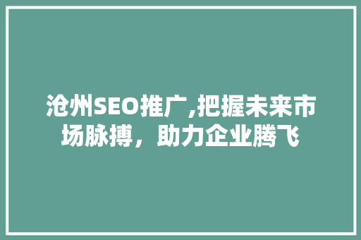 沧州SEO推广,把握未来市场脉搏，助力企业腾飞