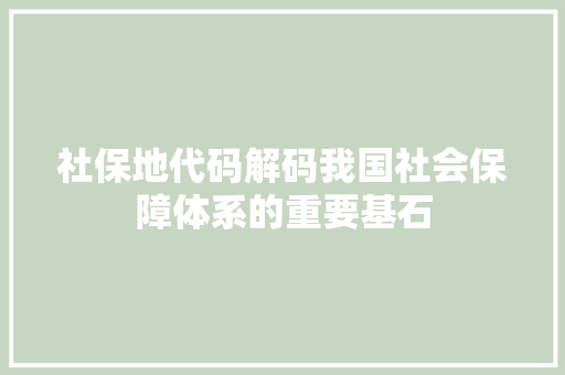社保地代码解码我国社会保障体系的重要基石