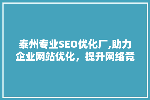 泰州专业SEO优化厂,助力企业网站优化，提升网络竞争力