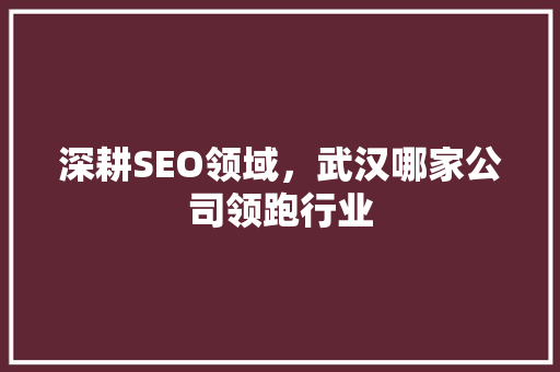 深耕SEO领域，武汉哪家公司领跑行业