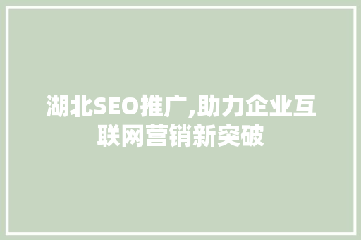 湖北SEO推广,助力企业互联网营销新突破