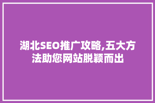 湖北SEO推广攻略,五大方法助您网站脱颖而出