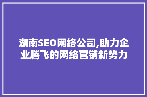 湖南SEO网络公司,助力企业腾飞的网络营销新势力