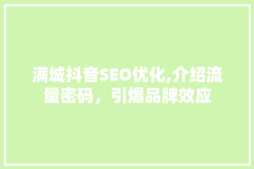 满城抖音SEO优化,介绍流量密码，引爆品牌效应