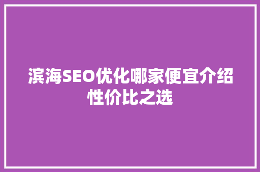 滨海SEO优化哪家便宜介绍性价比之选