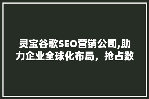 灵宝谷歌SEO营销公司,助力企业全球化布局，抢占数字营销新风口