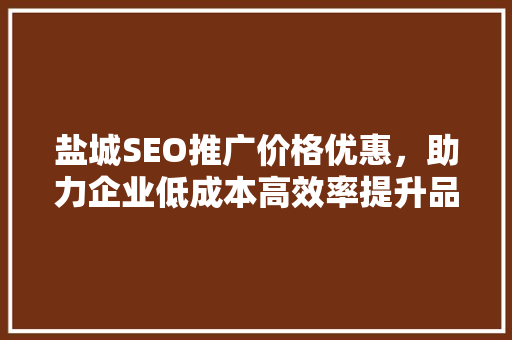 盐城SEO推广价格优惠，助力企业低成本高效率提升品牌影响力