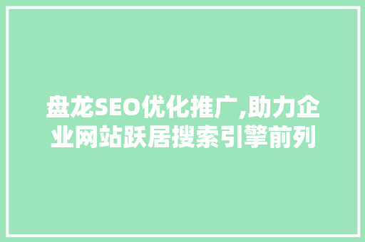 盘龙SEO优化推广,助力企业网站跃居搜索引擎前列