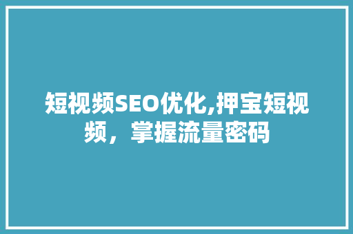 短视频SEO优化,押宝短视频，掌握流量密码