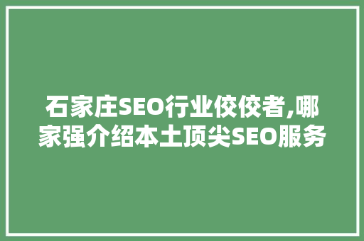 石家庄SEO行业佼佼者,哪家强介绍本土顶尖SEO服务商
