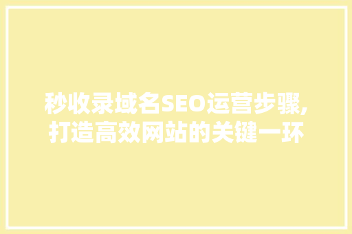 秒收录域名SEO运营步骤,打造高效网站的关键一环