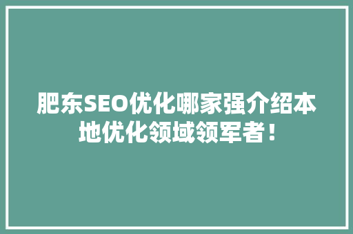 肥东SEO优化哪家强介绍本地优化领域领军者！