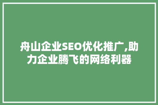 舟山企业SEO优化推广,助力企业腾飞的网络利器