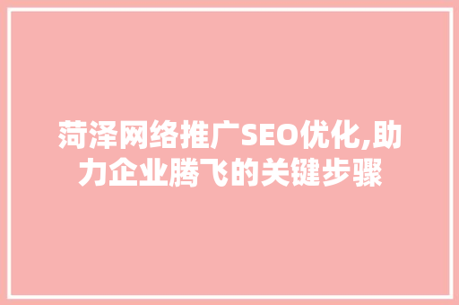 菏泽网络推广SEO优化,助力企业腾飞的关键步骤