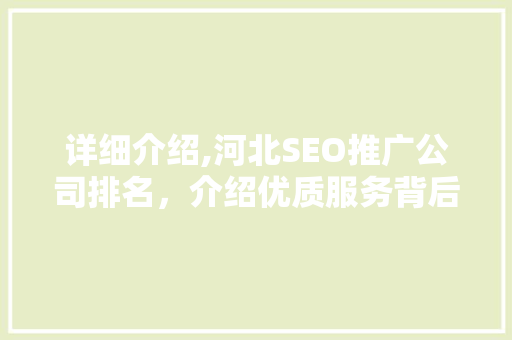 详细介绍,河北SEO推广公司排名，介绍优质服务背后的秘密