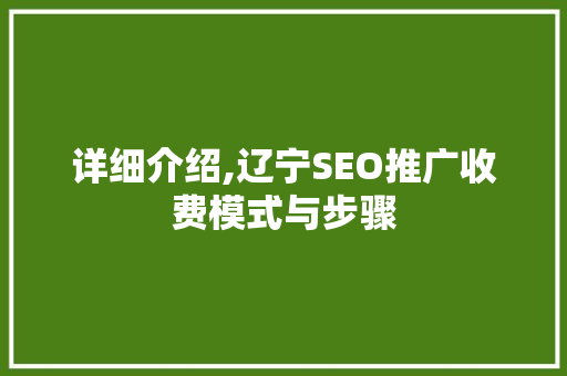 详细介绍,辽宁SEO推广收费模式与步骤  第1张