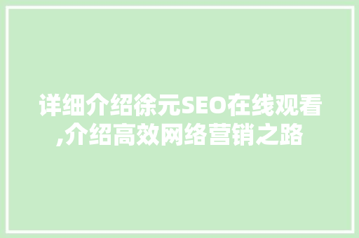 详细介绍徐元SEO在线观看,介绍高效网络营销之路