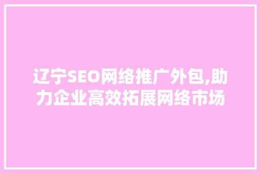 辽宁SEO网络推广外包,助力企业高效拓展网络市场