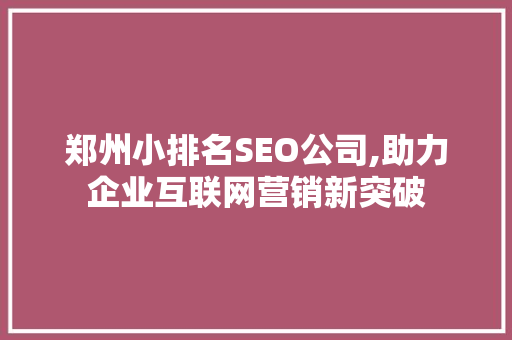 郑州小排名SEO公司,助力企业互联网营销新突破