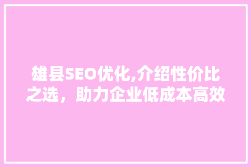雄县SEO优化,介绍性价比之选，助力企业低成本高效提升排名
