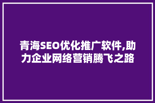 青海SEO优化推广软件,助力企业网络营销腾飞之路