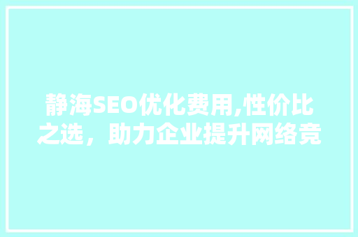 静海SEO优化费用,性价比之选，助力企业提升网络竞争力