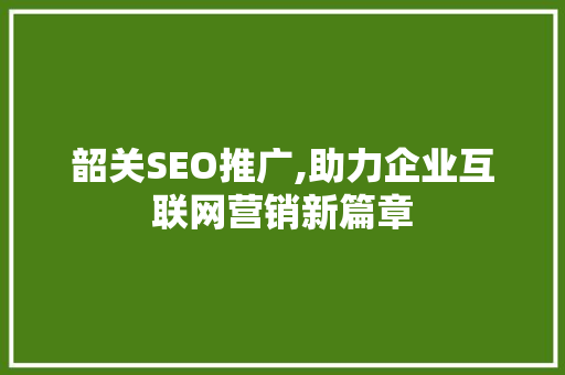 韶关SEO推广,助力企业互联网营销新篇章