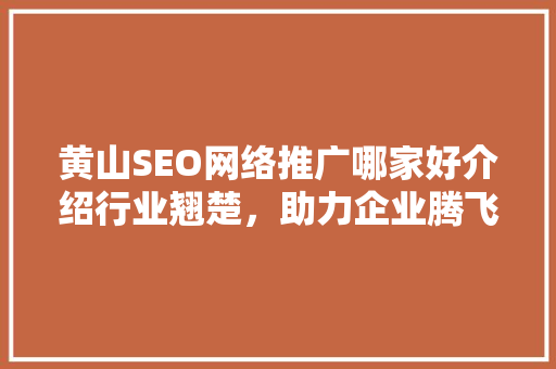 黄山SEO网络推广哪家好介绍行业翘楚，助力企业腾飞