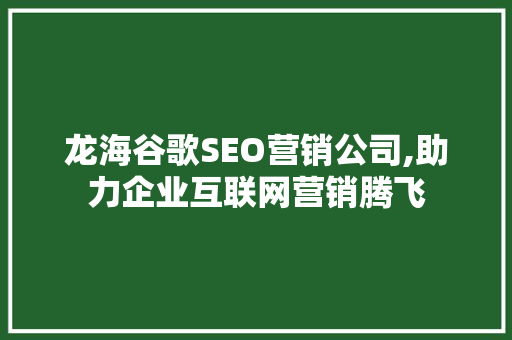 龙海谷歌SEO营销公司,助力企业互联网营销腾飞