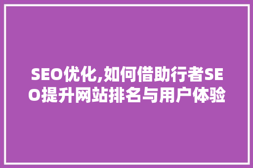 SEO优化,如何借助行者SEO提升网站排名与用户体验