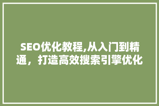 SEO优化教程,从入门到精通，打造高效搜索引擎优化步骤