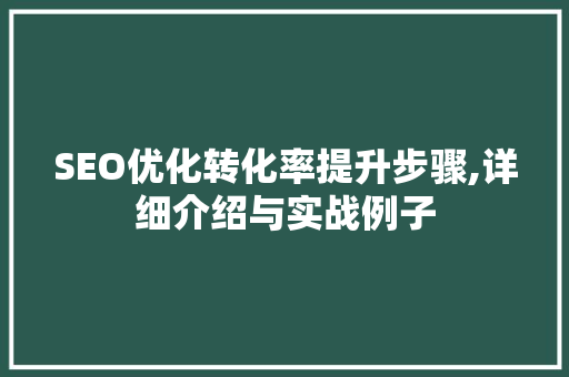 SEO优化转化率提升步骤,详细介绍与实战例子