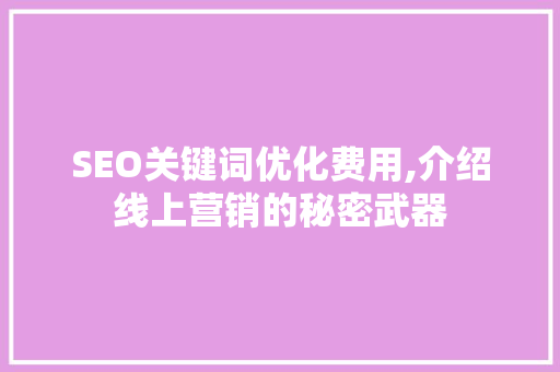 SEO关键词优化费用,介绍线上营销的秘密武器  第1张