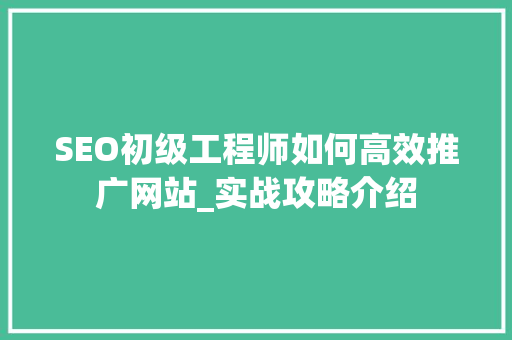 SEO初级工程师如何高效推广网站_实战攻略介绍