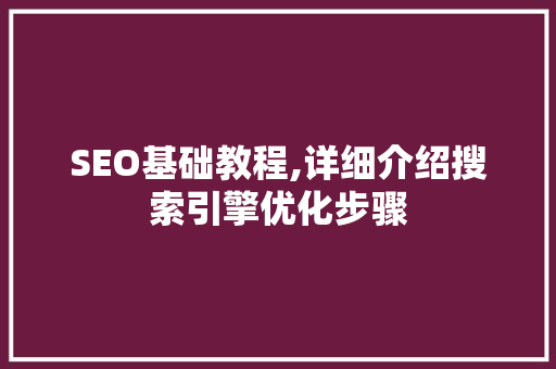 SEO基础教程,详细介绍搜索引擎优化步骤