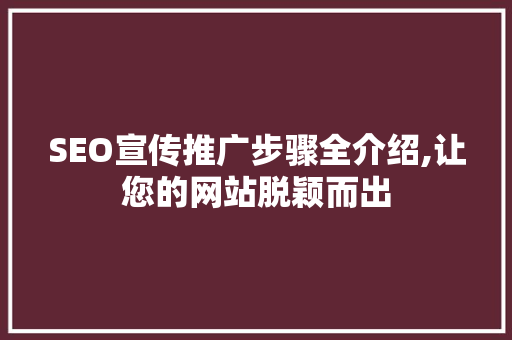 SEO宣传推广步骤全介绍,让您的网站脱颖而出